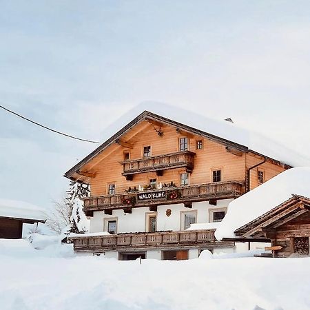 Waldruhe Appartements Sankt Jakob in Defereggen Luaran gambar